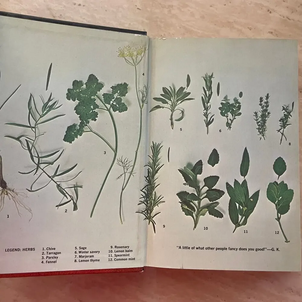 The Graham Kerr Cookbook The Galloping Gourmet Vintage 1969